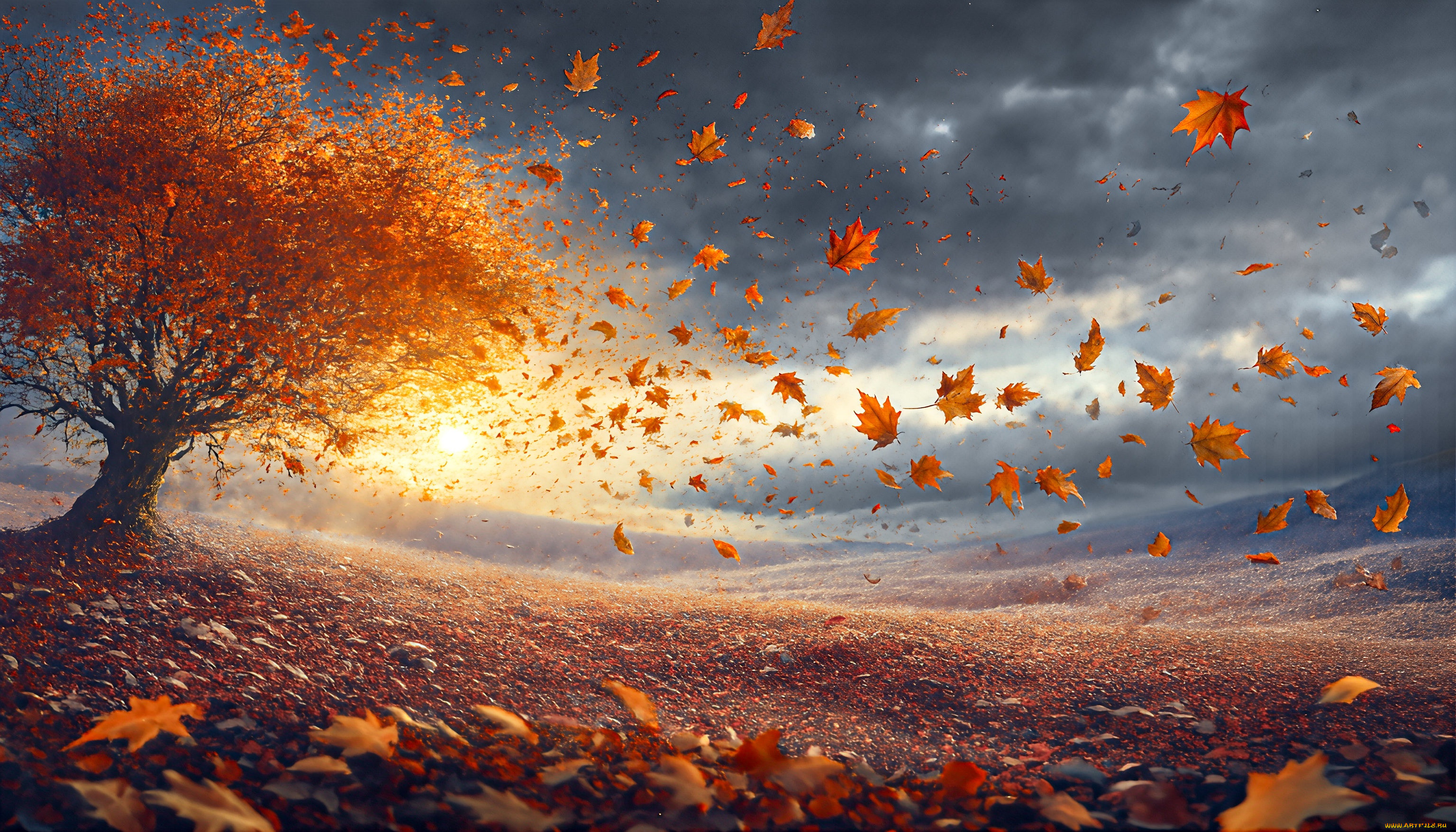 3� �������, ������� , nature, ������